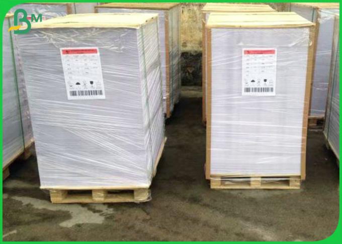 75gsm 80gsm 100gsm 100% Wood Pulp Offset Paper In Reel For School Book Use