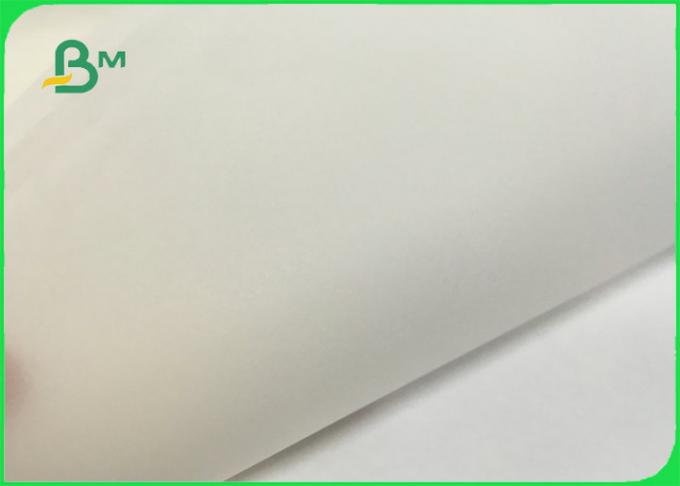 FDA FSC Certified 26gsm to 50gsm White Paper Kraft Paper Roll With Grease Proof