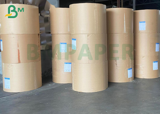 Balmumu Ücretsiz Su Konisi Kağıt Bardaklar Materail Beyaz Kraft Kağıt Ruloları