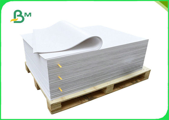 100gsm 120gsm Gıda Ambalajı Ekmek Torbaları İçin Beyaz Craft Kağıt 20 x 30 inç