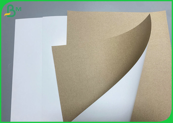 350gsm Gıda Sınıfı Beyaz Kaplamalı Kraft Arka Kağıt Odun Hamuru Gıda Kutusu Kağıdı
