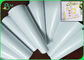 PE Lamine Beyaz Kağıt Parlak Kaplamalı Taban Kağıdı 80gsm + 10g