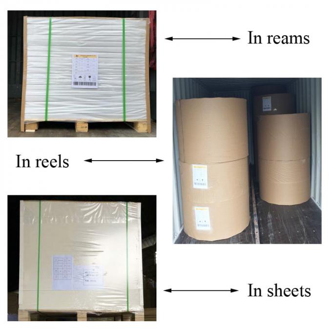 60 / 80GSM Uncoated Exercise Book Paper / Offset Paper In Reels Width 900MM