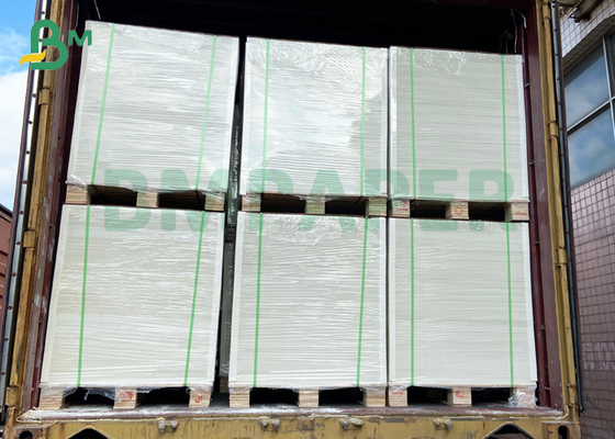 Havayolu Kağıt Bardaklar için 100gsm 120gsm Beyaz Kraft Kağıt Gıda Sınıfı