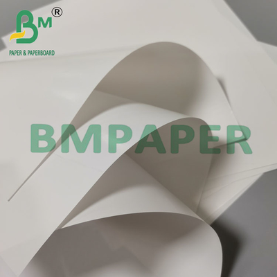 97g 860mm Genişlik Mükemmel Baskı İyi Mürekkep Emimi C1S Etiket Kağıdı