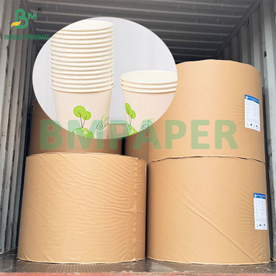 190gm 320gm+15gPE kaplı Gıda sınıfı Tek kullanımlık sıcak kahve fincanı kağıdı