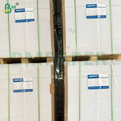 Gıda kalitesi PE kaplı, ısıya dayanıklı, sızıntıya dayanıklı kase stok kağıt levhaları