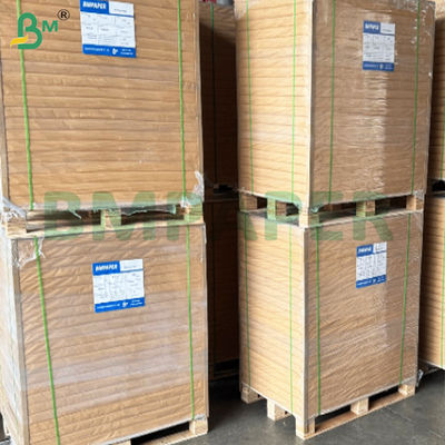 240gsm+10gsm Tek Tarafı PE Kaplamalı Sızdırmaz Bardak Karton Kağıt