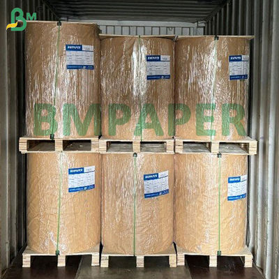 Isı Yalıtımlı Kaplamalı Blister Karton Kağıdı 320gsm 350gsm C1S Karton