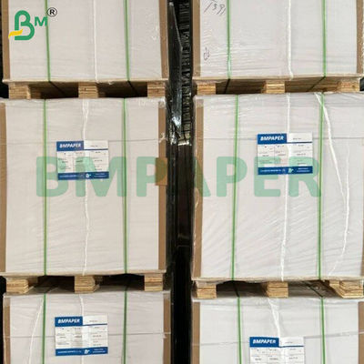 200gm+10gm Sıcaklığa dayanıklı PE kaplı bardak stok kağıt levhaları