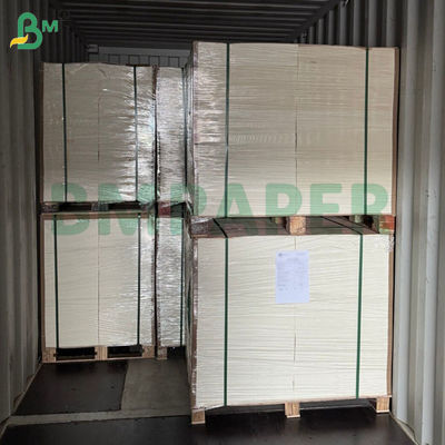 230gsm Bardak Kağıdı + 15g Tek Taraf PE Kaplama 60 X 40cm Tabakalar