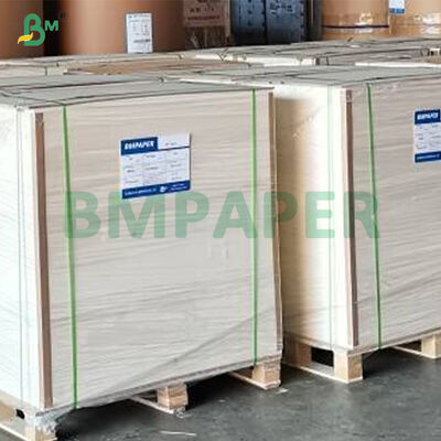 315g + 15g Kaplamalı Beyaz Gıda Sınıfı PET Karton Gıda Tabağı İçin