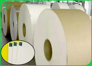Kağıt Kupası Yapımı İçin 160G + 10G PE Poli Kaplamalı Kağıt Food Grade malzemesi