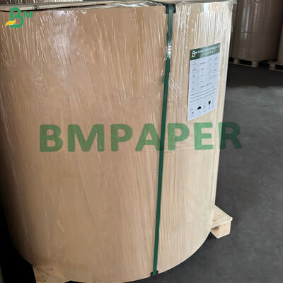 210gsm 230gsm Cup Base Paper For Beverage Cups 680mm 740mm High Stiffness