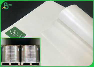 40G IÇIN 350G C1S Beyaz Craft Kağıt / PE kaplı Fincan Kağıt Makaralar Ile Fildişi Kurulu