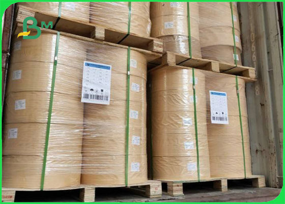 Saman Gıda Güvenliği için 60gsm 120gsm Kompostlanabilir Kraft Kağıt 13.5MM 14MM 15MM