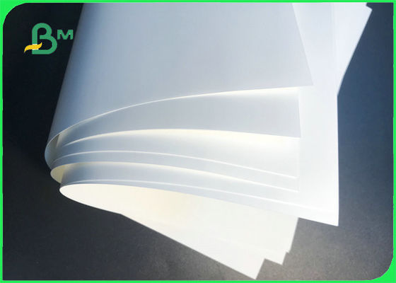 PET ve PP Sentetik Kağıt 100um 200um 250um Etiket Baskısı İçin Suya Dayanıklı
