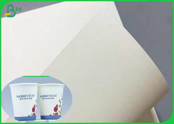 SGS Belgeli 230g 260g PE Kaplı Cupstock Taban Kağıdı 850mm Rulo