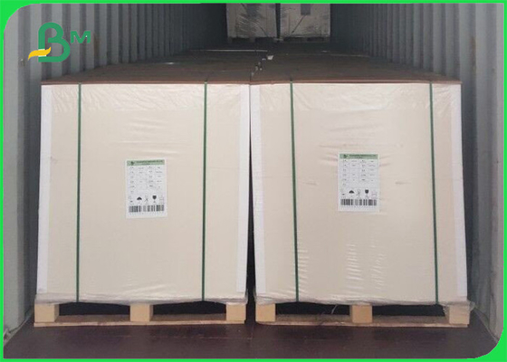 Yüksek Dökme Beyaz Tek Tarafı Kaplamalı Gıda Paketi Karton 350gsm 0.61mm