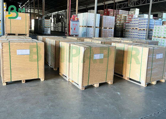 Beyaz Karton Gıda Sınıfı 295gsm Dondurucu Karton Dondurma Paketleme