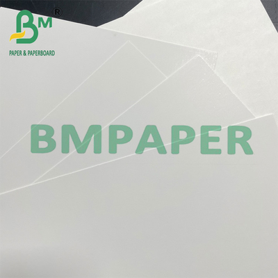 250gm 350gm Gıda sınıfı C1S Dondurulmuş ambalaj için kaplı karton