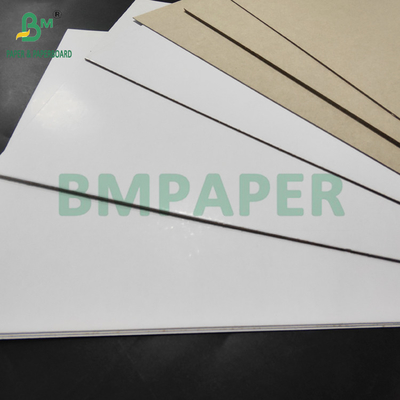 450gm 500gm C1S Duplex Board Gri Geri Diş macunu Kutusu 800 x 1000 mm
