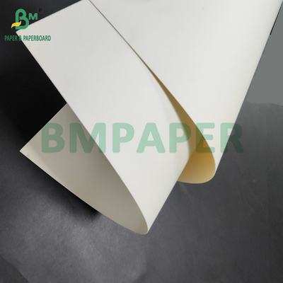 300gm + 15g PE kaplı gıda kağıdı Öğle yemeği kapları için 700 x 1000mm