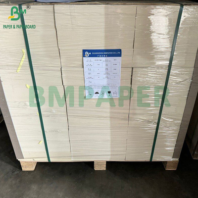 300gm + 15g PE kaplı gıda kağıdı Öğle yemeği kapları için 700 x 1000mm