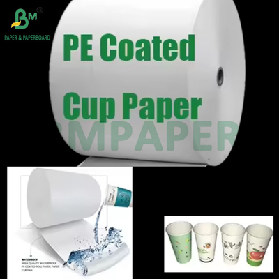 Sıcak veya soğuk içecekler için 190 gram + 15 gram PE kaplı Cupstock kağıt rulo