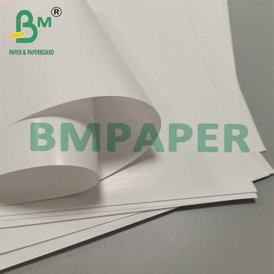 80g Biyodegradable Leak Proof Cone Cup Packaging Paper Tatlı Atıştırmalığı