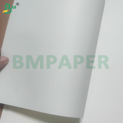 60/120 GSM Özel renkler ile içme için saman kağıt rulo