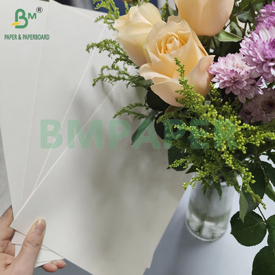190gm 320gm+15gPE kaplı Gıda sınıfı Tek kullanımlık sıcak kahve fincanı kağıdı