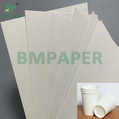 C1S PE Yüzeyi 210gm 230gm İçecekler İçin Kupa Kağıdı Kupa Jumbo Roll