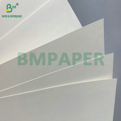 C1S PE Yüzeyi 210gm 230gm İçecekler İçin Kupa Kağıdı Kupa Jumbo Roll
