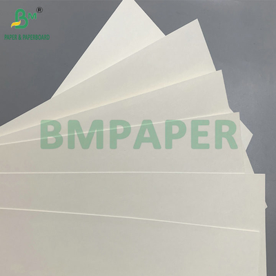 C1S PE Yüzeyi 210gm 230gm İçecekler İçin Kupa Kağıdı Kupa Jumbo Roll