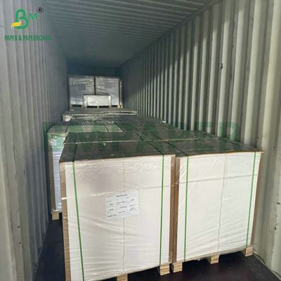 Gıda sınıfı 250 gram 737 mm Su geçirmez bardak 1 PE bardak kağıdı