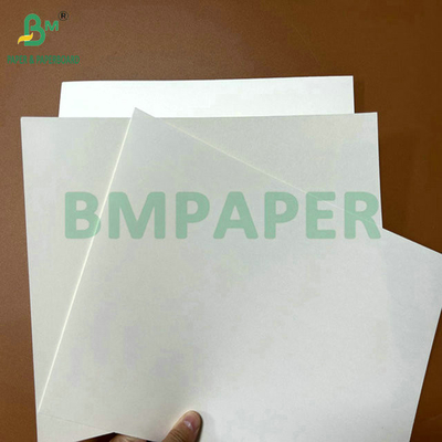Gıda sınıfı 250 gram 737 mm Su geçirmez bardak 1 PE bardak kağıdı