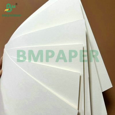 Gıda sınıfı 250 gram 737 mm Su geçirmez bardak 1 PE bardak kağıdı