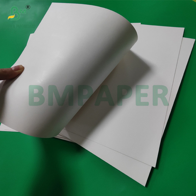 300gm + 15g PE kaplı kağıt bardakları için depolama tahtası 820mm 880mm