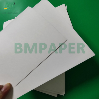 300gm + 15g PE kaplı kağıt bardakları için depolama tahtası 820mm 880mm