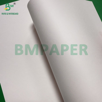 240g + 18g PE kaplı bardak stok kağıdı Mat Finish Tek taraflı özel rulo Geniş 430mm - 2100mm