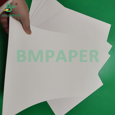 230gm 260gm Tek taraflı PE kaplı bardak kağıdı Bardak kağıdı yapmak için