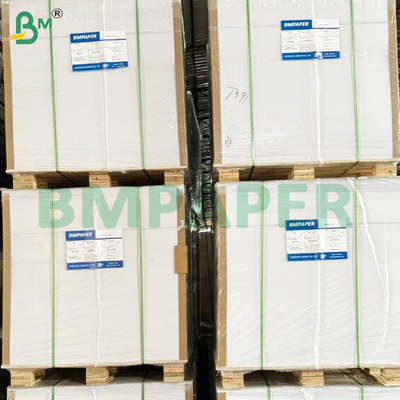 Gıda Güvenliği 200+10GSM Gıda Konteyneri için PET kaplı kağıt levhaları