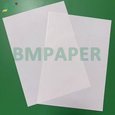 65 - 80gm Yüksek Nem Gücü Beyaz Kağıt İçecek Paketleme Kapları İçin Tek Taraflı Kaplı Bira Etiketi Kağıdı