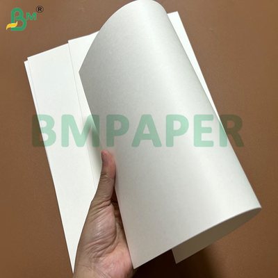 240g + 15PE Yağa dayanıklı gıda kapı kağıdı Kağıt kase yapmak için 61 x 86cm