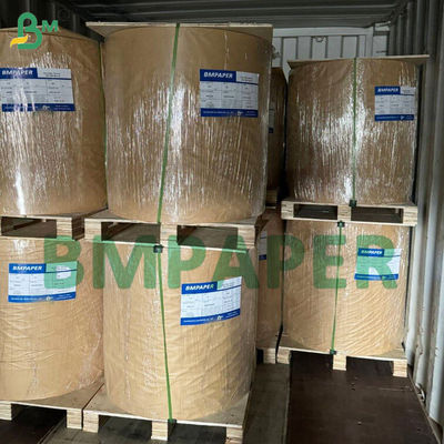 40 Gr Pelleaglio Kağıdı Beyaz Gıda Kağıdı Renkli Pasta Tepsileri İçin