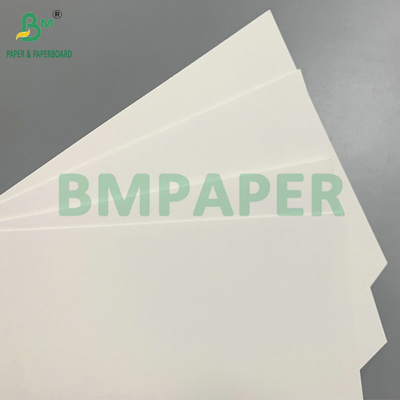 C1S 275gsm + 15gsm PE Dondurulmuş Karton Karides/Balık Ambalaj Kutusu İçin