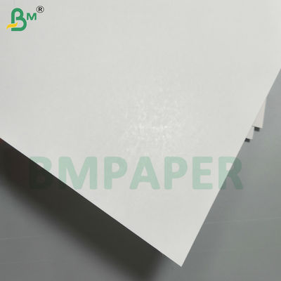 Isı Yalıtımlı Kaplamalı Blister Karton Kağıdı 320gsm 350gsm C1S Karton