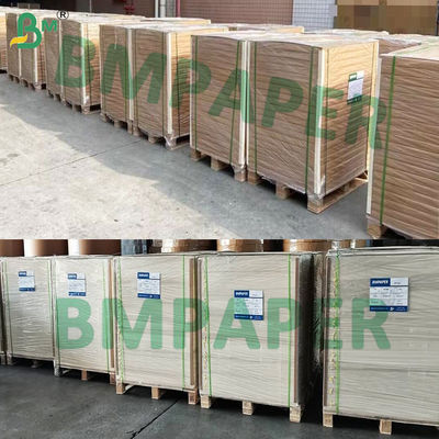 Isı Yalıtımlı Kaplamalı Blister Karton Kağıdı 320gsm 350gsm C1S Karton