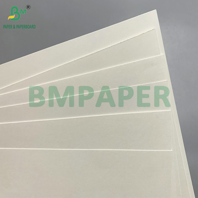 PE Kaplamalı 190 - 350gsm Kase Kağıdı Tek Kullanımlık Kağıt Kaseler İçin Kullanılır